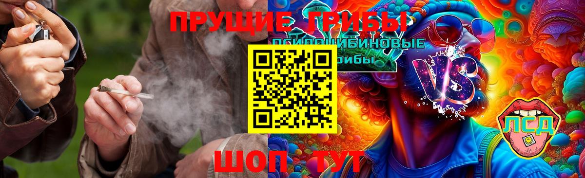 Галлюциногенные грибы GOLDEN TEACHER  Вход с VPN  Нефтекамск 